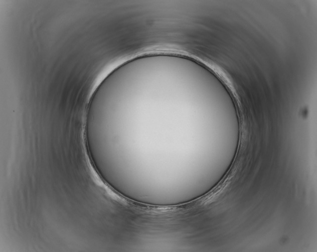 X0000090911390200707301023