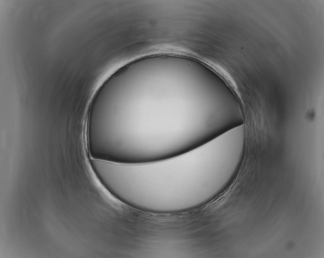 X0000090911391200707301023