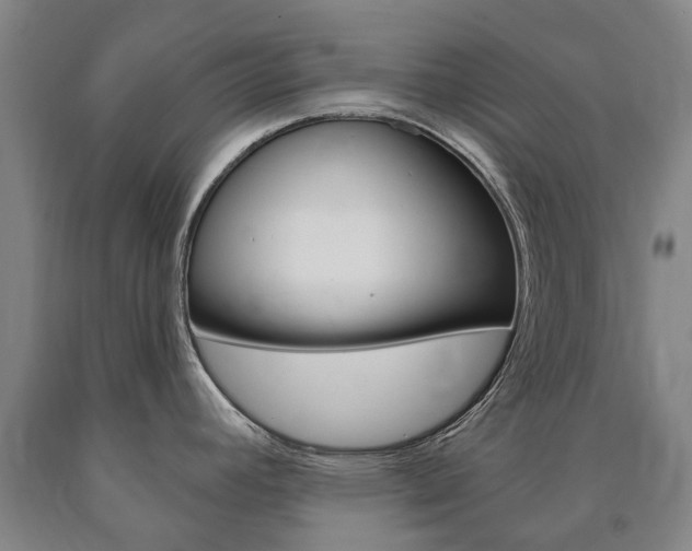 X0000090911392200707301023