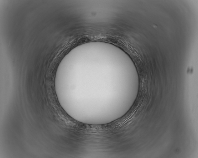 X0000090911393200707301023