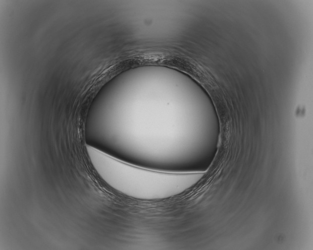 X0000090911394200707301023