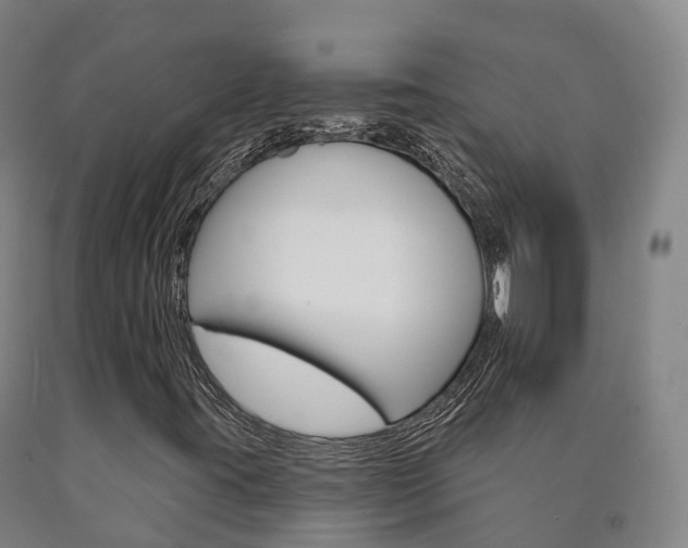 X0000090911395200707301023