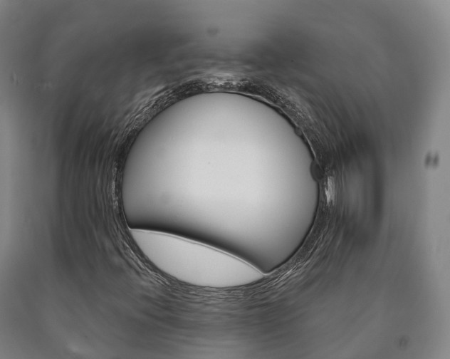X0000090911396200707301023