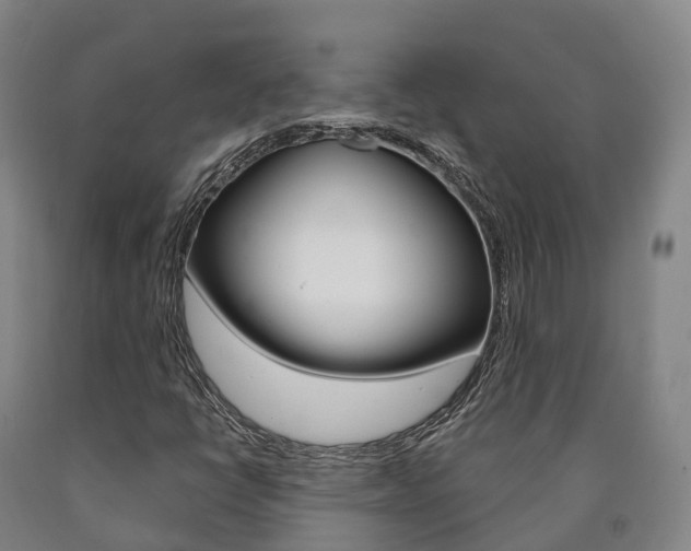 X0000090911398200707301023
