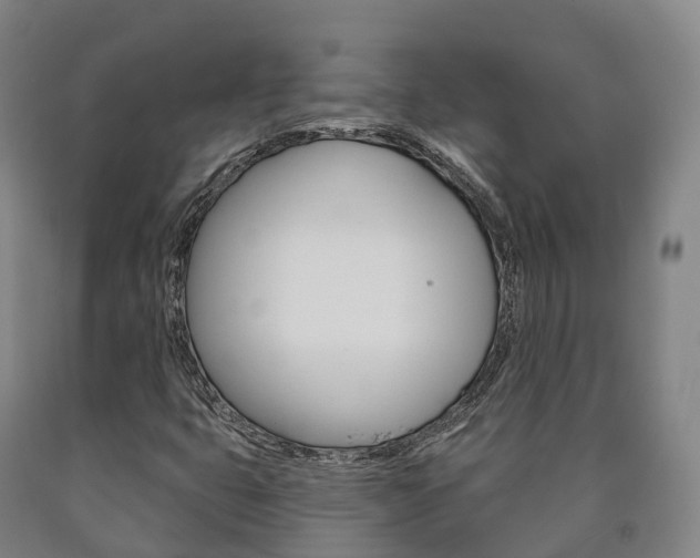 X0000090911399200707301023
