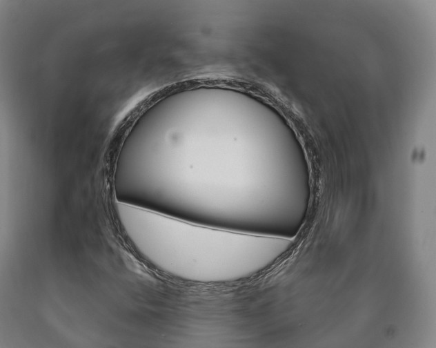X0000090911400200707301023