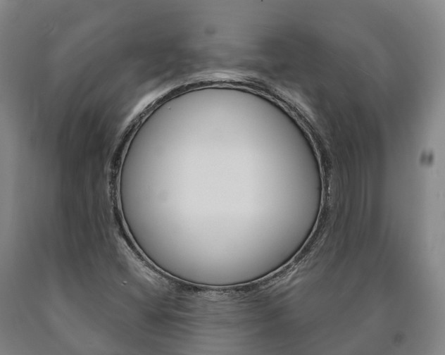X0000090911404200707301023