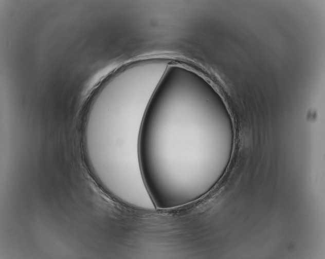 X0000090911406200707301023
