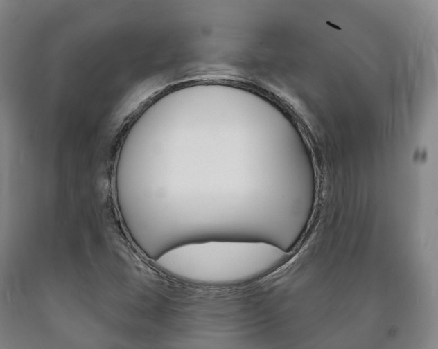 X0000090911407200707301023