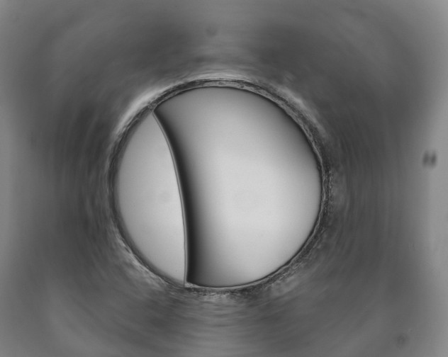 X0000090911408200707301023