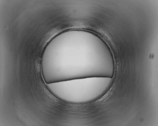 X0000090911409200707301023