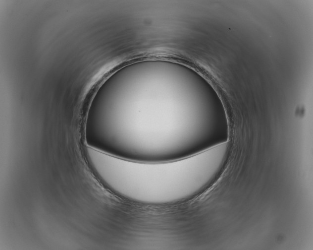 X0000090911410200707301023