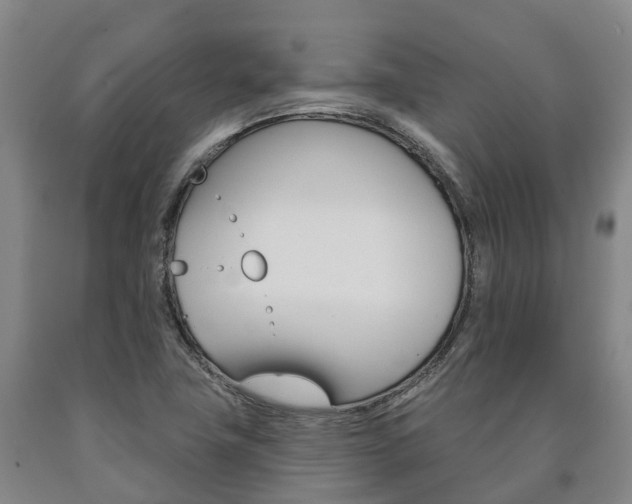 X0000090911411200707301023