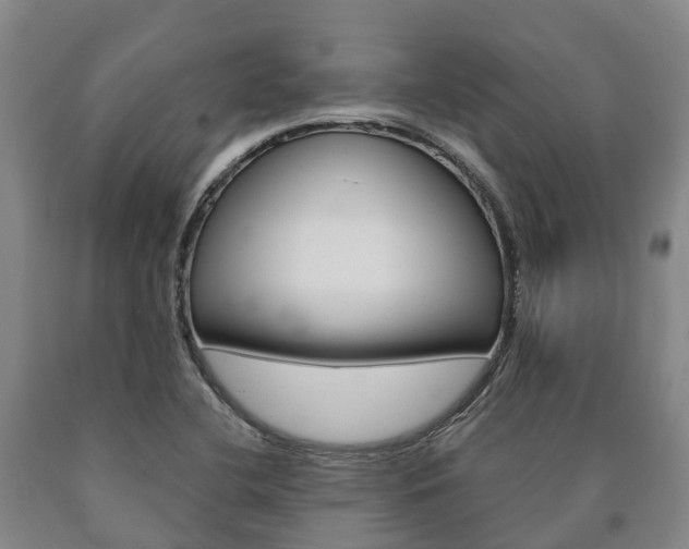 X0000090911412200707301023