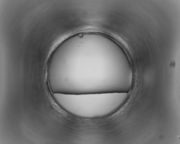 X0000090911413200707301023