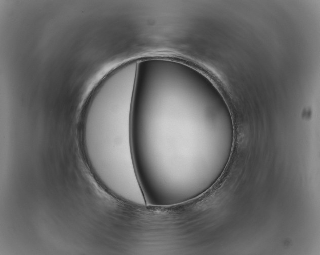 X0000090911414200707301023