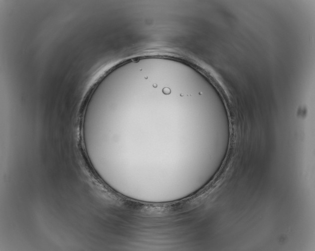 X0000090911415200707301023
