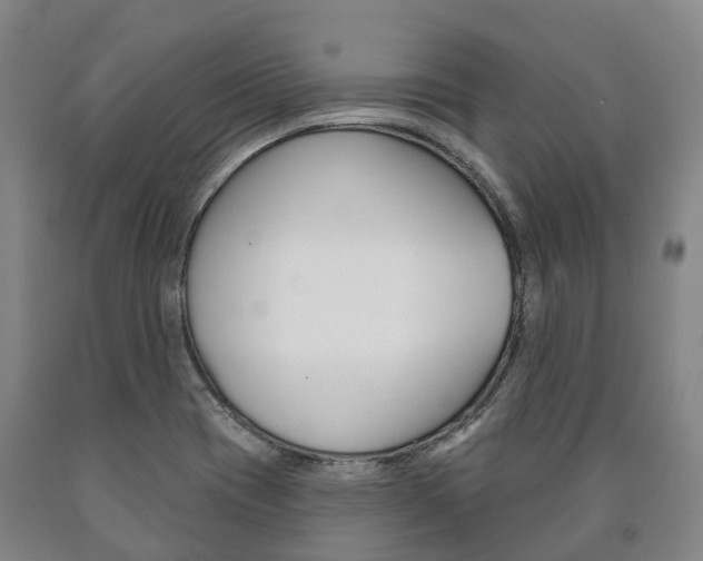 X0000090911417200707301023