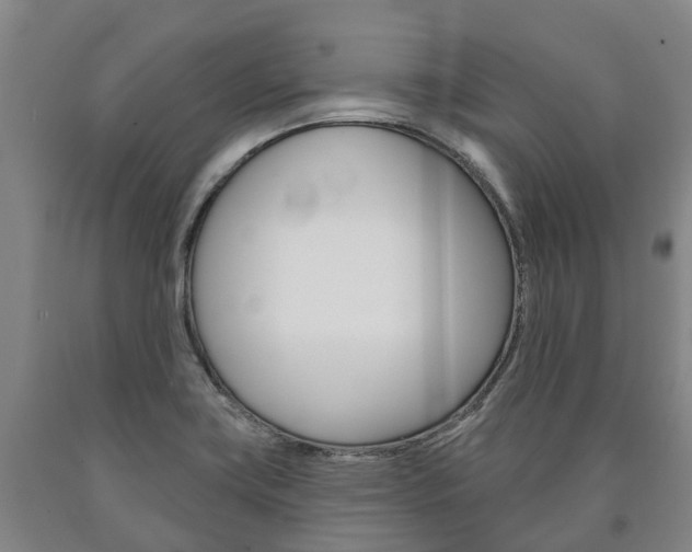 X0000090911419200707301023