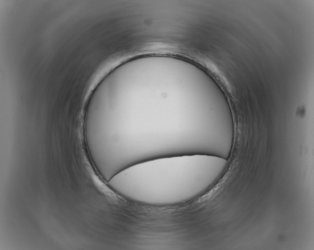 X0000090911421200707301023