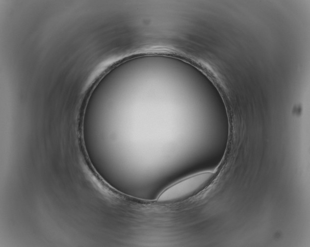 X0000090911422200707301023