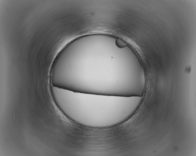 X0000090911423200707301023