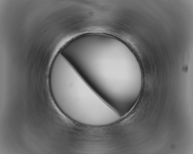 X0000090911424200707301023