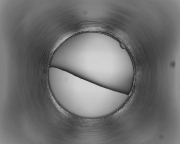 X0000090911425200707301023