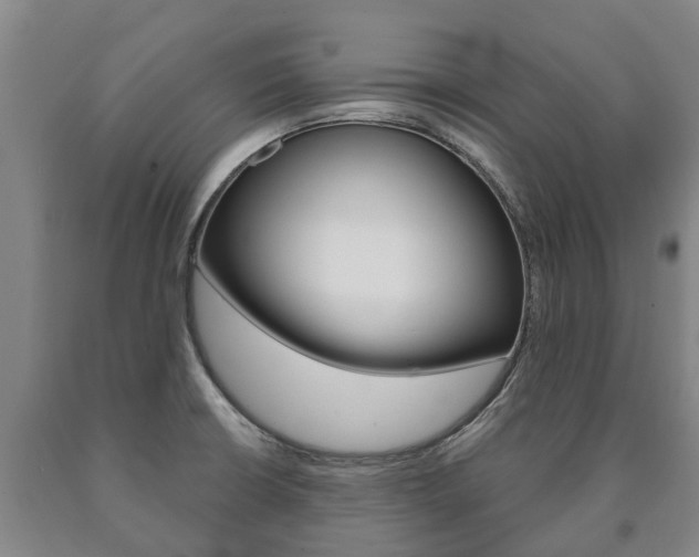 X0000090911426200707301023