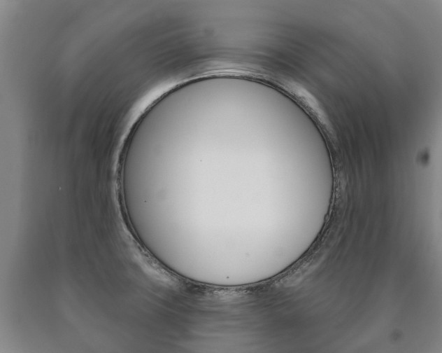 X0000090911427200707301023