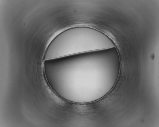 X0000090911428200707301023