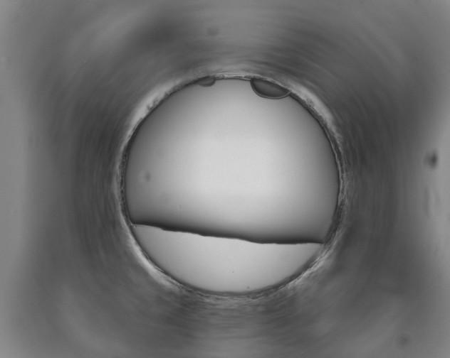 X0000090911429200707301023