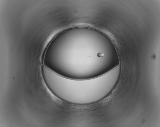 X0000090911430200707301023