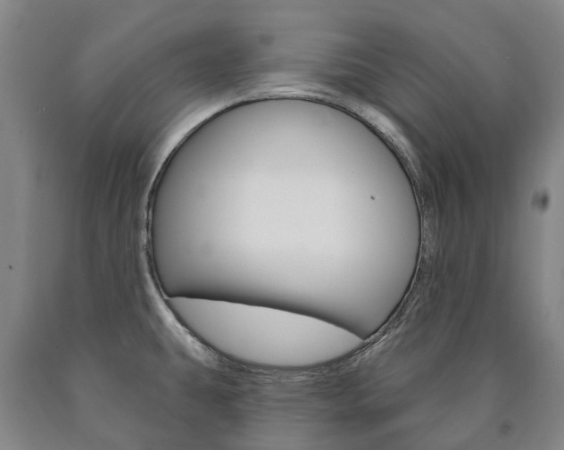 X0000090911431200707301023