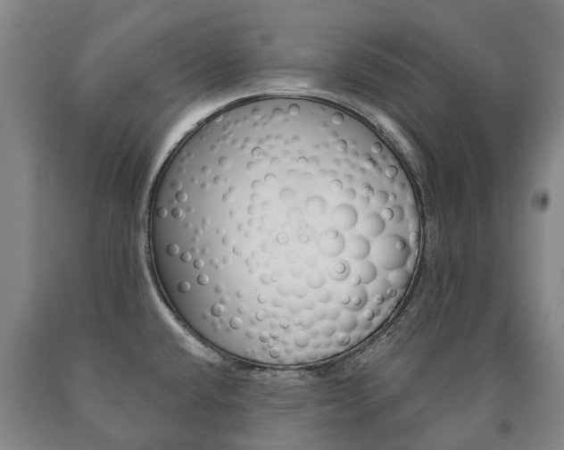 X0000090911432200707301023