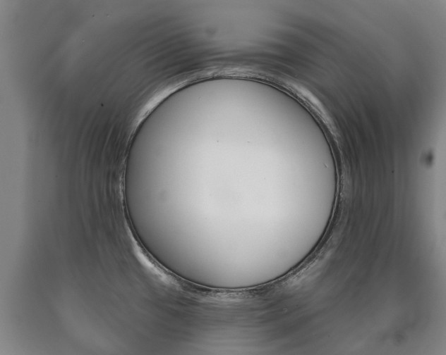 X0000090911433200707301023