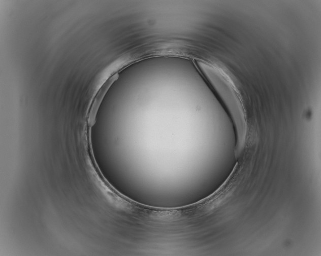 X0000090911434200707301023