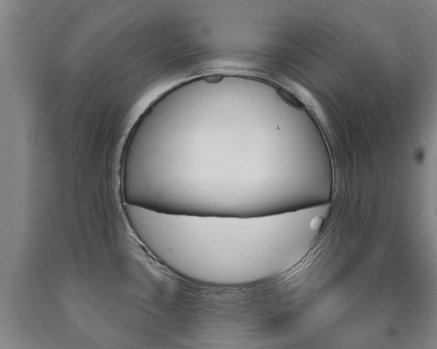 X0000090911435200707301023