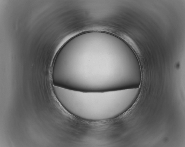X0000090911436200707301023