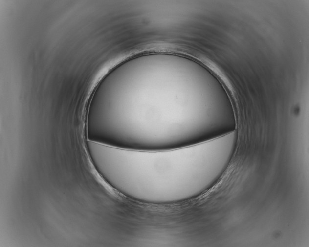 X0000090911437200707301023