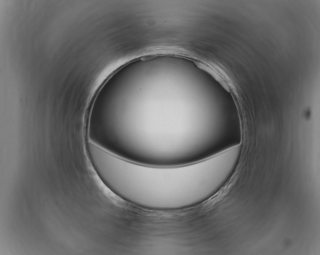 X0000090911438200707301023