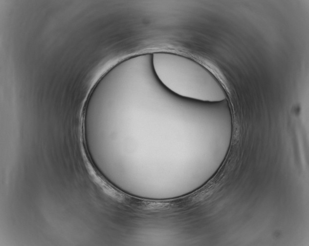 X0000090911439200707301023