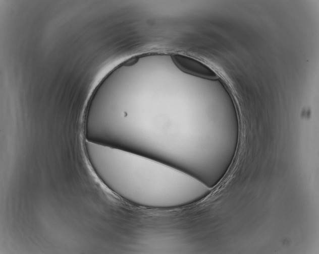 X0000090911440200707301023