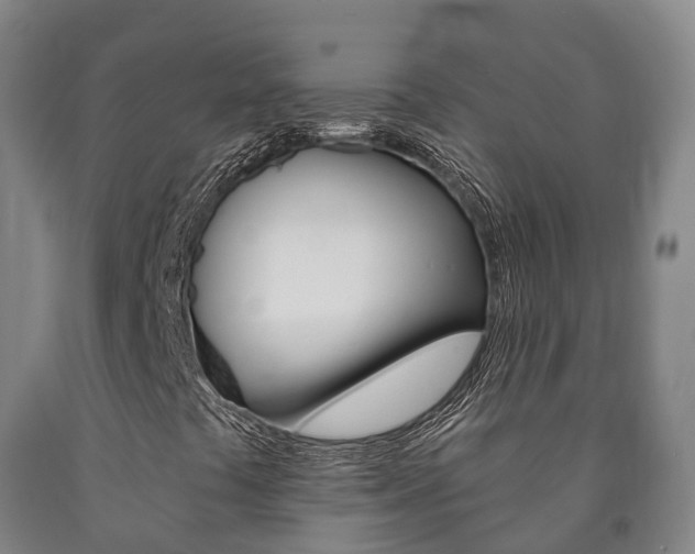 X0000090911441200707301023