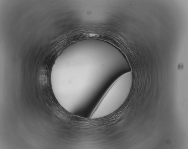 X0000090911442200707301023