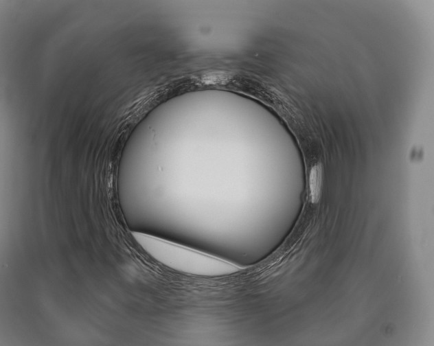 X0000090911443200707301023