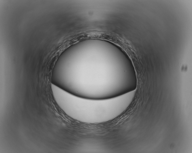 X0000090911445200707301023