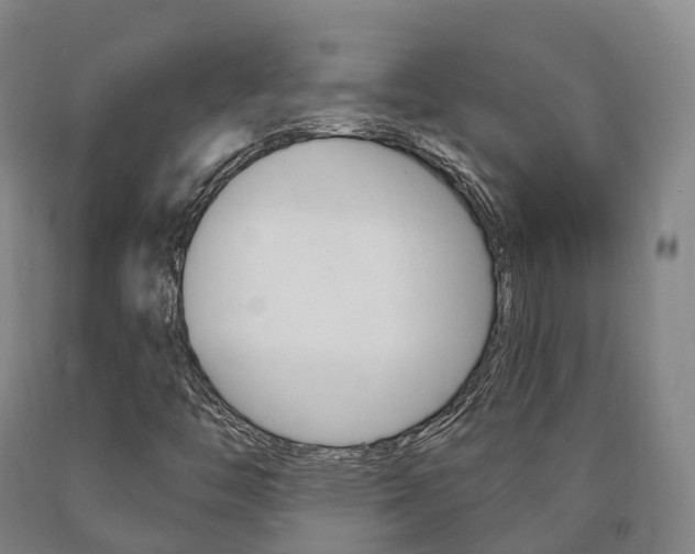 X0000090911446200707301023