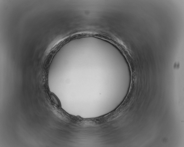 X0000090911448200707301023