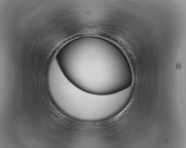 X0000090911449200707301023